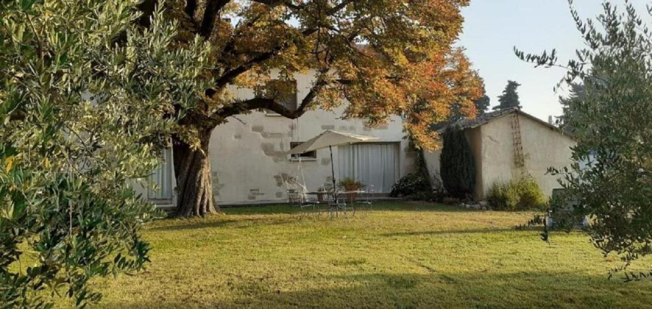 Le Petit Mas En Provence Avec Piscine Villa Barbentane Bagian luar foto
